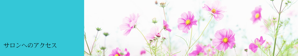 サロンへのアクセス