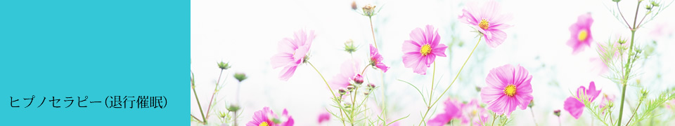 ヒプノセラピー(退行催眠)