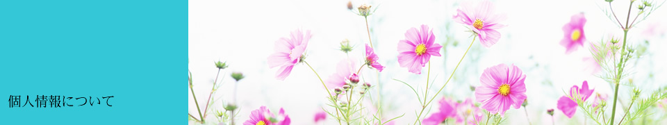 個人情報について