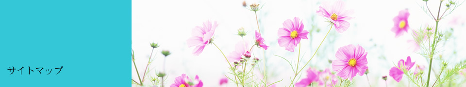 サイトマップ